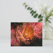 Hintergrundfarbe Blume Nr. 40 Postkarte (Stehend Vorderseite)