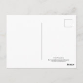 Hintergrundfarbe Blume Nr. 40 Postkarte (Rückseite)