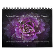 Hintergrundfarbe Blume Nr. 42