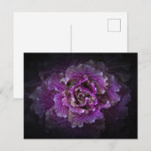 Hintergrundfarbe Blume Nr. 42 Postkarte (Vorne/Hinten)