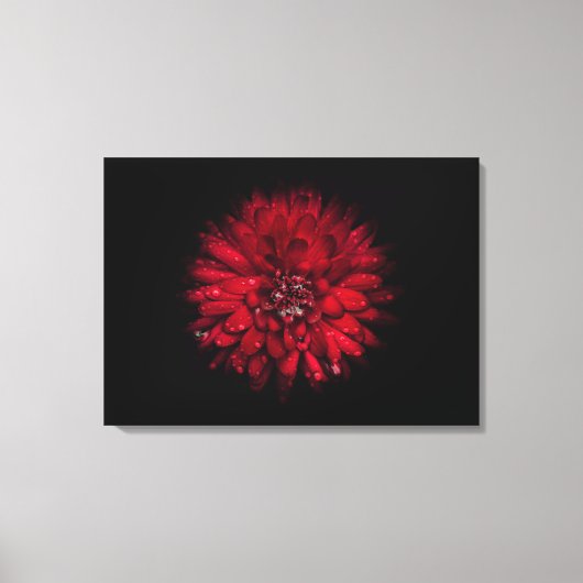 Hintergrundfarbe Blume Nr. 45 Leinwanddruck (Vorderseite)