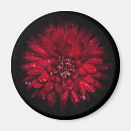 Hintergrundfarbe Blume Nr. 45 Magnet