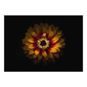 Hintergrundfarbe Blume Nr. 69 Fotodruck