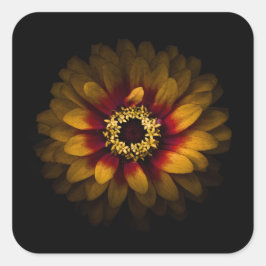 Hintergrundfarbe Blume Nr. 69 Quadratischer Aufkleber