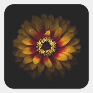 Hintergrundfarbe Blume Nr. 69 Quadratischer Aufkleber
