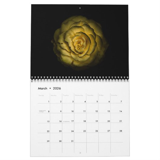 Hintergrundfarbe Blume Nr. 85 Kalender (Mär 2026)
