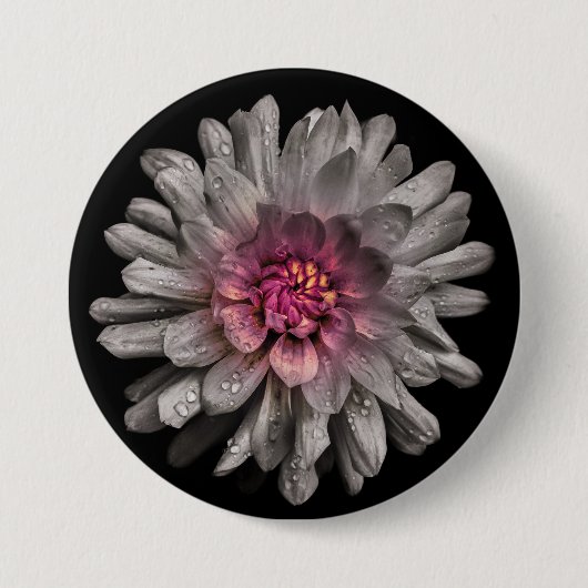 Hintergrundfarbe Blume Nr. 91 Button (Vorderseite)