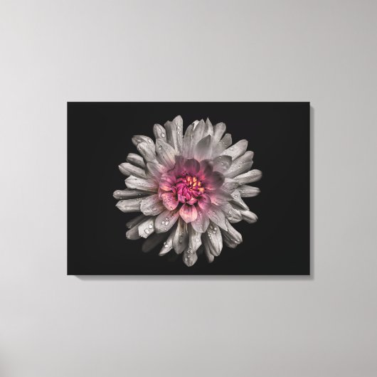 Hintergrundfarbe Blume Nr. 91 Leinwanddruck (Vorderseite)