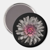 Hintergrundfarbe Blume Nr. 91 Magnet (Vorderseite/Rückseite)