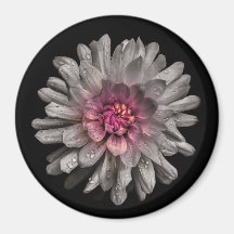 Hintergrundfarbe Blume Nr. 91