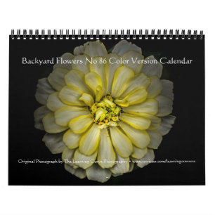 Hintergrundfarbe der Blume Nr. 86 Kalender