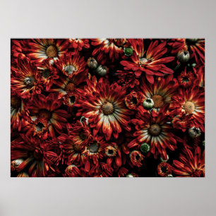 Hintergrundfarbe der Blume Nr. 88 Poster