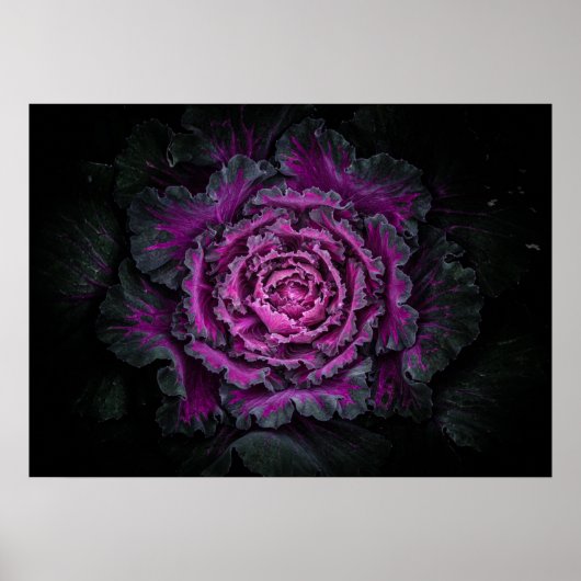 Hintergrundfarbe der Blume Nr. 99 Poster (Vorne)