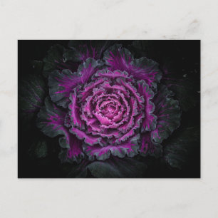 Hintergrundfarbe der Blume Nr. 99 Postkarte