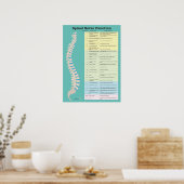 Hintergrundfarbe für die Funktion des Rückennervs Poster (Küche)