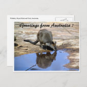 Hintergrundgrüße Postkarte (Vorne/Hinten)