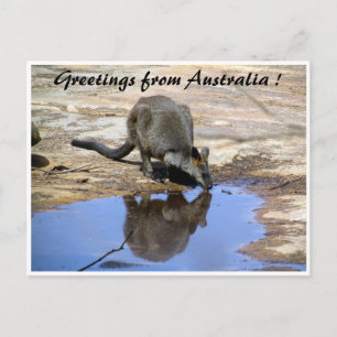 Hintergrundgrüße Postkarte