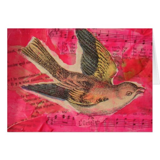 Hintergrundinformationen zu "Bird Mixed Media" (Vorderseite (Horizontal))