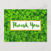 Hintergrundinformationen zu den grünen Clover-Blät Postkarte (Vorderseite)