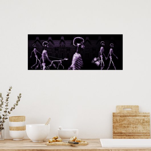 Hintergrundinformationen zu den X-Ray-Skeletten - Poster (Küche)