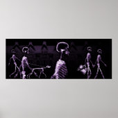 Hintergrundinformationen zu den X-Ray-Skeletten - Poster (Vorne)