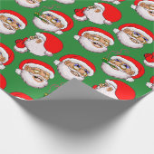 Hintergrundinformationen zum Grünbuch Santa Cruz Geschenkpapier (Ecke)