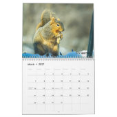 Hintergrundinformationen zum Kalender 2026 (Mär 2027)