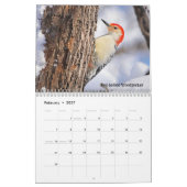 Hintergrundinformationen zum Kalender 2026 (Feb 2027)