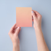 Hintergrundinformationen zum Peach Gradient Flyer (Gruppe)
