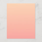Hintergrundinformationen zum Peach Gradient Flyer (Hinten)