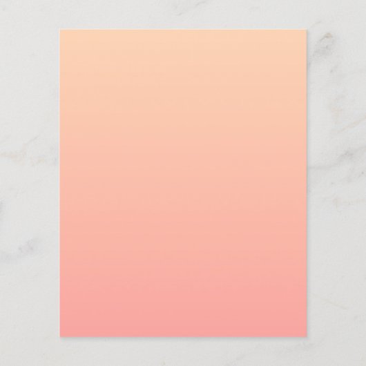 Hintergrundinformationen zum Peach Gradient Flyer (Hinten)