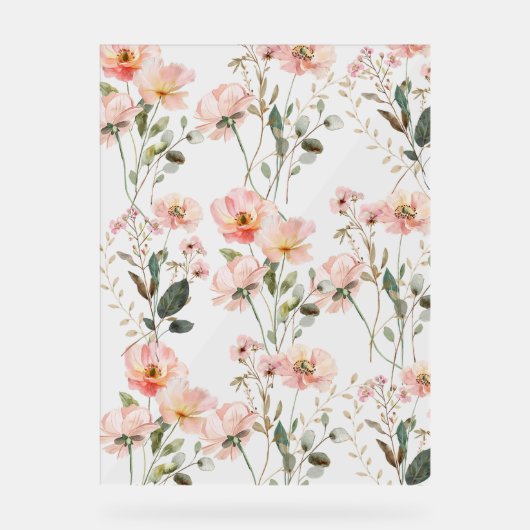 Hintergrundinformationen zur blühenden Wildblume Acrylschild (Vorderseite)