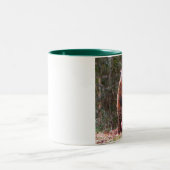 Hinterhof-Biber-Tasse Zweifarbige Tasse (Mittel)