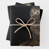 Hinterhof Großes Hornhahn Geschenkpapier Set (Beispiel)