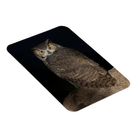 Hinterhof Großes Hornhahn Magnet (Rechte Seite)