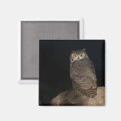 Hinterhof Großes Hornhahn Magnet (Vorderseite/Rückseite)