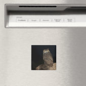 Hinterhof Großes Hornhahn Magnet (In Situ (Geschirrspüler))