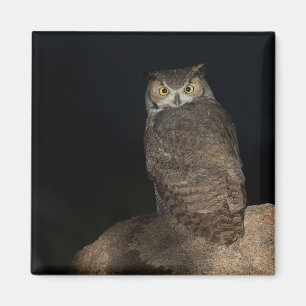 Hinterhof Großes Hornhahn Magnet