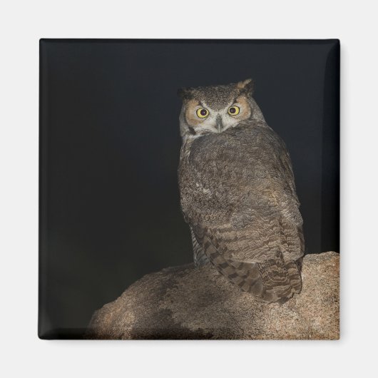 Hinterhof Großes Hornhahn Magnet (Vorne)