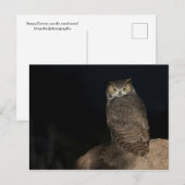 Hinterhof Großes Hornhahn Postkarte (Vorne/Hinten)