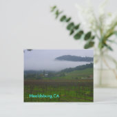 Hinterhof, Healdsburg, CA Postkarte (Stehend Vorderseite)