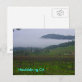 Hinterhof, Healdsburg, CA Postkarte (Vorne/Hinten)