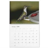 Hinterhof Hummingbirds 11" x 14,25" Kalender (Jan 2027)