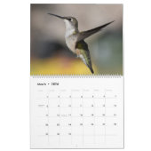 Hinterhof Hummingbirds 11" x 14,25" Kalender (Mär 2026)
