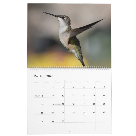 Hinterhof Hummingbirds 11" x 14,25" Kalender (Mär 2026)