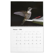 Hinterhof Hummingbirds 11" x 14,25" Kalender (Feb 2026)