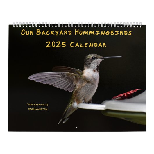 Hinterhof Hummingbirds 11" x 14,25" Kalender (Titelbild)
