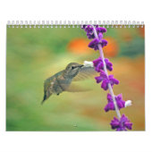 Hinterhof-Kolibri-Kalender Kalender (Titelbild)