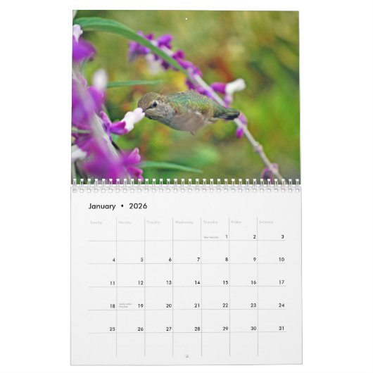 Hinterhof-Kolibri-Kalender Kalender (Jan 2026)