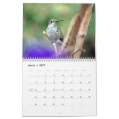 Hinterhof-Kolibri-Kalender Kalender (Mär 2027)